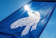 Friedenstaube - Frank Hammerschmidt/dpa/Symbolbild