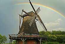 Freilichtmuseum - 1 - Archivfoto: LWL/Jaehne