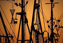 Fischerei - Sina Schuldt/dpa