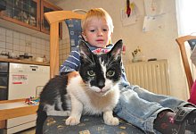 Wieder vereint - FOTO: JULIA GESEMANN