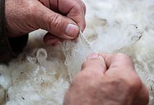 Qualitätsprüfung der Fasern der Wolle - Verena Wolff/dpa-tmn