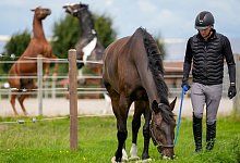 Was macht eigentlich ein Pferdewirtschaftsmeister? - Kirsten Neumann/dpa-tmn