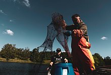 Daniel Becker (l) und Henry Dietrich beim Sumpfkrebs-Fang in Berlin. - Carsten Koall/dpa