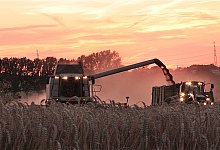 we_Serienteil-Ernte2_hst - Heidi Stork