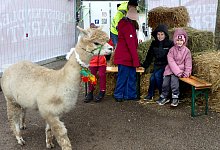Christkindlesmarkt - Rudi Rudolph
