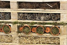 Insektenhotel selbst gemacht - Foto: Simone A. Mayer