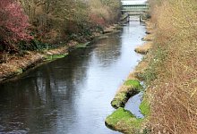 Emscher bekommt naturnahe Flussmündung - Roland Weihrauch/dpa/Archivbild