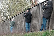 Gaffer (Illustration) - Alexander Auer/dpa