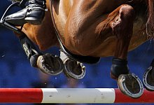 Pferdesport - Foto: Malte Christians/dpa