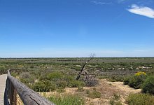 Nationalpark Do&ntilde;ana in Spanien - Jan-Uwe Ronneburger/dpa