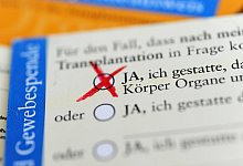 Organspendeausweis - picture alliance/dpa