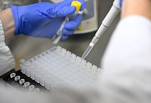 Testlabor - Foto: Bernd Wei&szlig;brod/dpa