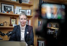 Live-Talk auf X mit Weidel und Musk - Kay Nietfeld/dpa-POOL/dpa
