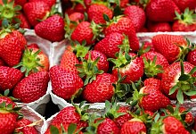 Erdbeeren - Pixabay (Symbolfoto)