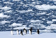 Antarktis - Mark Baker/AP/dpa