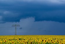 Wetter in Brandenburg - Patrick Pleul/dpa