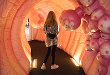 In einem Darmmodell - J&ouml;rg Carstensen/dpa