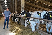 Ok&ouml;-Betrieb - Foto: Patrick Pleul/dpa-Zentralbild/ZB