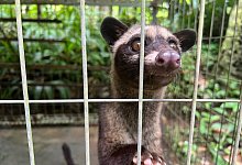 Bali - Carola Frentzen/dpa