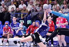 HSG Blomberg-Lippe - Wildcats Halle-Neustadt - 1 - Paul Cohen