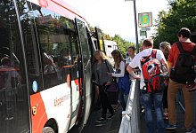 Bus - Freya K&ouml;hring