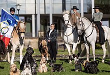 Pk zu Messe «Hund & Pferd» mit Deutscher Meisterschaft - Dieter Menne/dpa