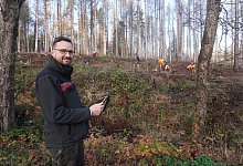 Wiederaufforstung Horn-Bad Meinberg - Michaela Wei&szlig;e