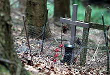 Ungeklärter Mord: - Tyler Larkin