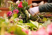 Alternative zu Rosen - Foto: Klaus-Dietmar Gabbert/dpa-tmn