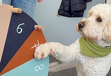 img-3473 - 1 - Kreis Paderborn