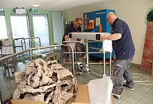 Eau-Le Umbau - Nadine Uphoff