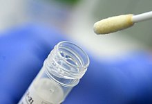 Ein Abstrich f&uuml;r das Testverfahren auf das Coronavirus. - Sebastian Gollnow/dpa/Symbolbild