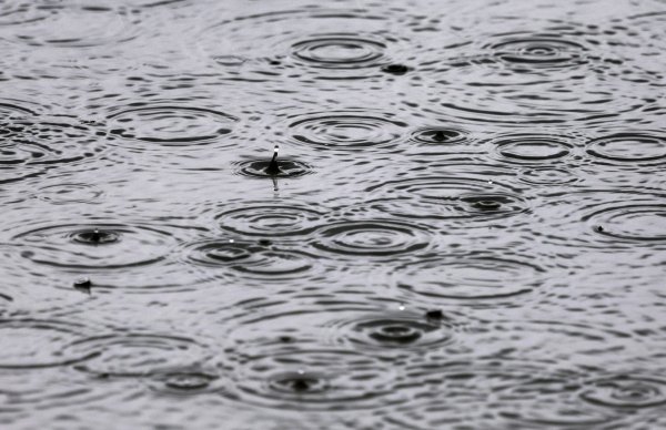 Mancherorts soll so viel Regen fallen wie sonst in einem Monat. (Archivbild) - © Karl-Josef Hildenbrand/dpa