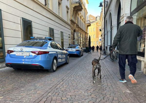 Südtirol will künftig von Hundehaltern eine Art Kurtaxe für ihre Vierbeiner verlangen. (Symbolbild) - © Christoph Sator/dpa