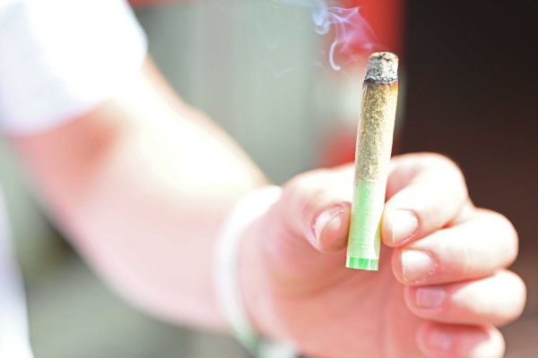Junge Erwachsene greifen einer neuen Studie zufolge häufiger zu Cannabis als früher. (Illustration) - © Michael Brandt/dpa