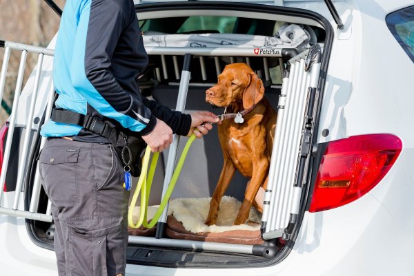 Zur Sicherheit: Vor dem Aussteigen sollte man den Hund anleinen, damit er nicht einfach auf eine befahrene Straße stürmt. - © Monique Wüstenhagen/dpa-tmn