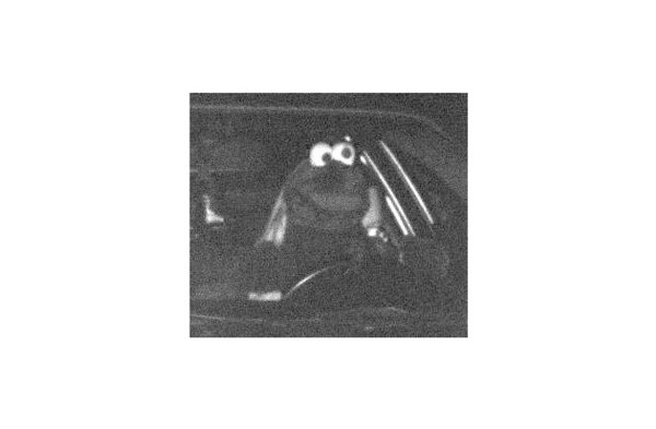 Das Bußgeld für das geblitzte «Krümelmonster» wurde bezahlt. (Archivbild) - © Polizei Dortmund