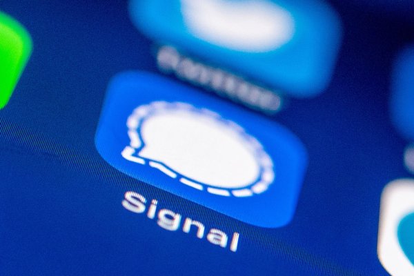 Signal ermöglicht jetzt, Anruflinks zu erstellen und zu teilen - die Links sind mehrfach nutzbar. - © Zacharie Scheurer/dpa-tmn