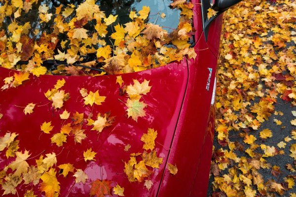 Es gibt viel zu beachten, beim Autofahren im Herbst. - © Symbolbild: Pixabay