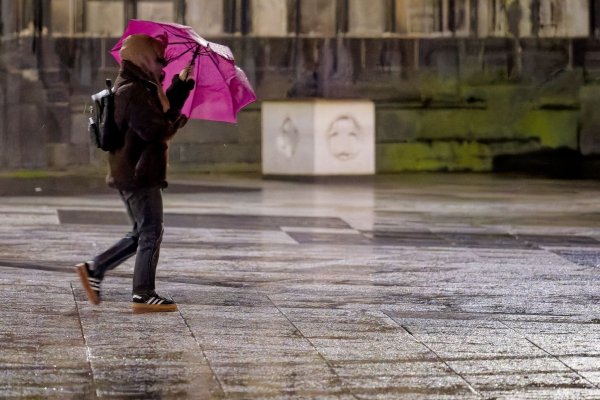 Der Deutsche Wetterdienst sagt für heute Sturm und Regen voraus. - © Henning Kaiser/dpa