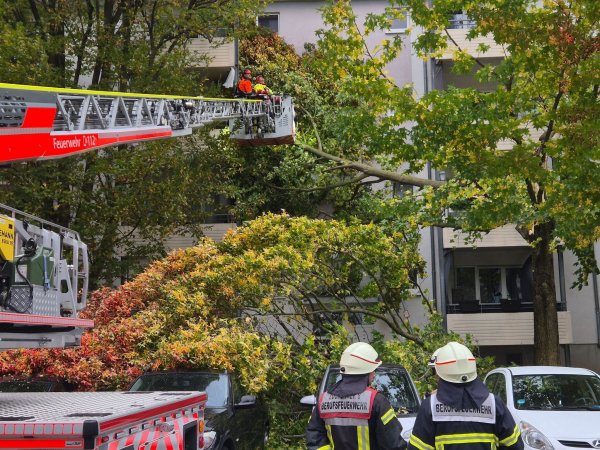 Oft musste die Feuerwehr wegen umgestürzte Bäume ausrücken. - © Sascha Thelen/dpa