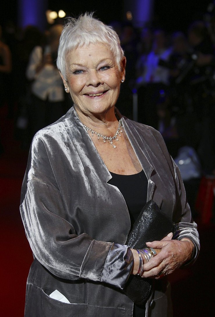 Judi Dench hat keinen Spaß am Älterwerden. - © Foto: Joel C Ryan/Invision/AP/dpa