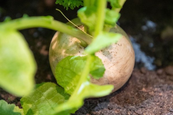 - © Catherine Waibel/dpa-tmn