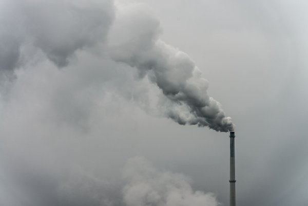 Die Treibhausgasemissionen in der EU sind 2023 zurückgegangen. (Symbolbild) - © Armin Weigel/dpa