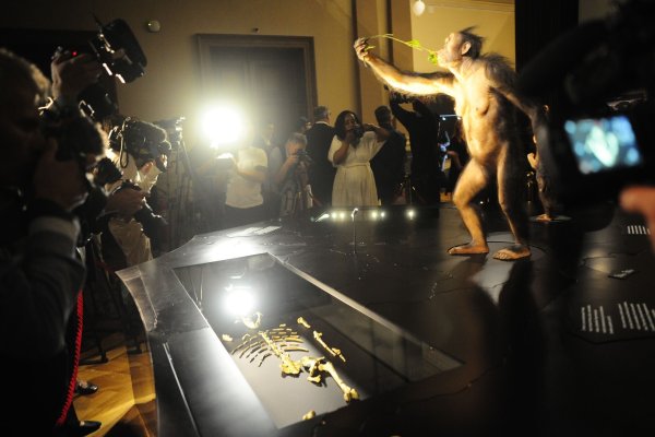 Das Vormenschen-Fossil "Lucy" aus Äthiopien ist erstmals in Europa zu sehen. Die Ausstellung im Nationalmuseum in Prag ist nur bis zum 23. Oktober geöffnet. - © Michael Heitmann/dpa