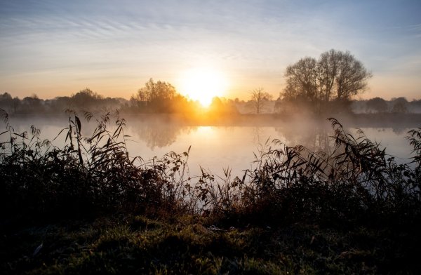 Das Herbstwetter ist auch in der kommenden Woche stabil - © Hauke-Christian Dittrich/dpa