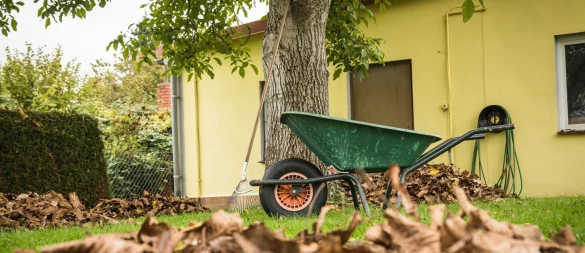 Ruhe vor dem Sturm: Bevor die stürmische Jahreszeit beginnt, sollten die Bäume auf dem Grundstück gründlich in Augenschein genommen werden. - © Christin Klose/dpa-tmn