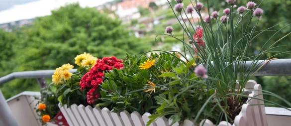 Wird in der Eigentümerversammlung der Beschluss gefasst, dass Blumenkästen künftig innen am Balkon hängen müssen, ist dies rechtens. - © Andrea Warnecke/dpa-tmn