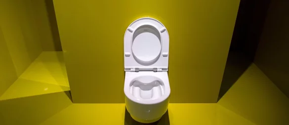 Trödelt der Vermieter mit der Reparatur einer defekten Toilette, können Mieter die Instandsetzung in Eigenregie veranlassen. - © Andrea Warnecke/dpa-tmn