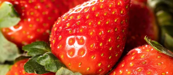 Bei frischen Beeren unterscheidet sich der Preis zwischen Bio- oder konventionellen Produkten deutlich. - © Franziska Gabbert/dpa-tmn